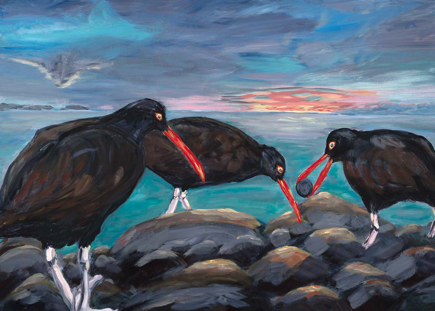 3 Oyster Catchers